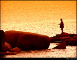 Fisherman