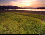 Grassland at Sunset