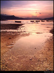 Boats at Shore