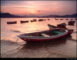 A Bunch of Boats