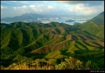 wukautang 20s
