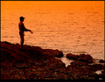 Fishing in Alone