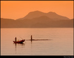Fishing at Morning