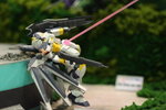 BZ3H5220