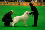 IMG_0126_iLF0l5ikuGYA