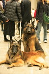 IMG_0274_jzestxiWkkFA