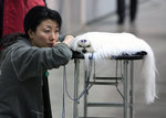 IMG_0277_rG32sXZKelfB