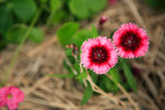 IMG_3686