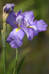 IMG_8872_small