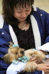Baby Dog in Tokyo Dog Show 2006