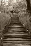 Footpath in Temple, Kamakura