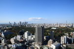 DPP_0001
