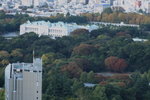 DPP_0005