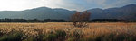 IMG_3722%20Field_lrCW7OoAdYvD