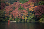 IMG_3876%20Torii_7QcuKM3Pld8j