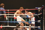 11-lowkick_aGoxXh6vIBnJ