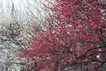 IMG_8915_JljdHkxeFVLl