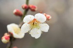 IMG_9001_pTtHDqjhy705