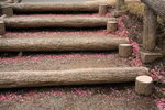 IMG_9193_8x4I1y4dOdHS