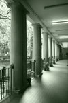 IMG_7455