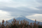 IMG_4475_RZrIZ3GhfKYo