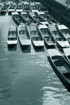 IMG_2792 Punts sepia