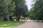 IMG_3731 Univ Parks