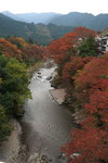 IMG_4355_qAo1lwMMJCXh