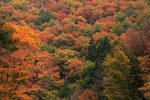 IMG_4620_tg0HgIZNN2jg