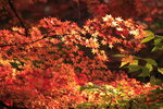 IMG_5289_NSVmOVsbFL54