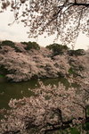IMG_0007_jjZ3zWQRQ4eB