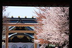 IMG_0290_rzEglOwBmcrL