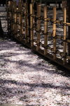IMG_0337_u19tJICUzxbr