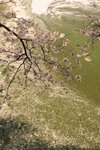 IMG_9273_trYl3skGS422
