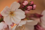 IMG_9765_oaPM6cA7oIpo