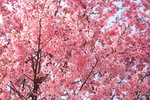 IMG_9795_eVmwTKmKWEuh