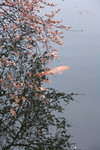 IMG_9870_2FR84RljOULq