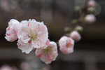 IMG_9882_Ta1CscJPl0x7