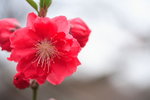 IMG_9891_X7h3RRjNdRSp
