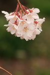 IMG_9916_inYFoeVXTcnt