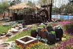 Garden_1xsTJastTGct