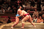 IMG_2474