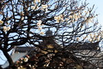 IMG_7719_RNu0eCOY66XQ