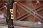 IMG_7731_8mWM2I6W8Y4F