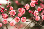 IMG_7788_qUIxPooMtoyb