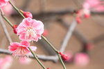 IMG_7798_B3Jsh76da7eT
