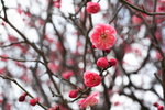 IMG_7838_XT3qoPr48HVN