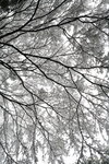 IMG_6688_KDWEdQtz7kR4