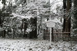 IMG_6715_DbzPNsdFPblF