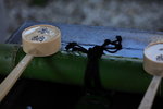 IMG_7735_sXUHhqZTdaZv
